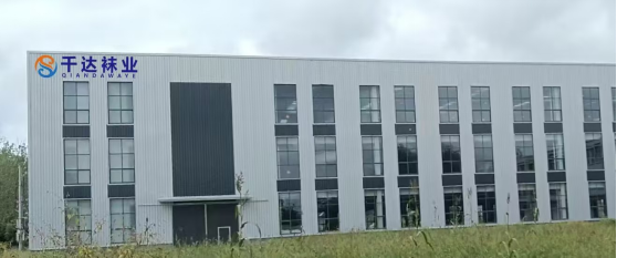 以精益為綱，筑智造基底——安徽千達襪業新廠房布局規劃